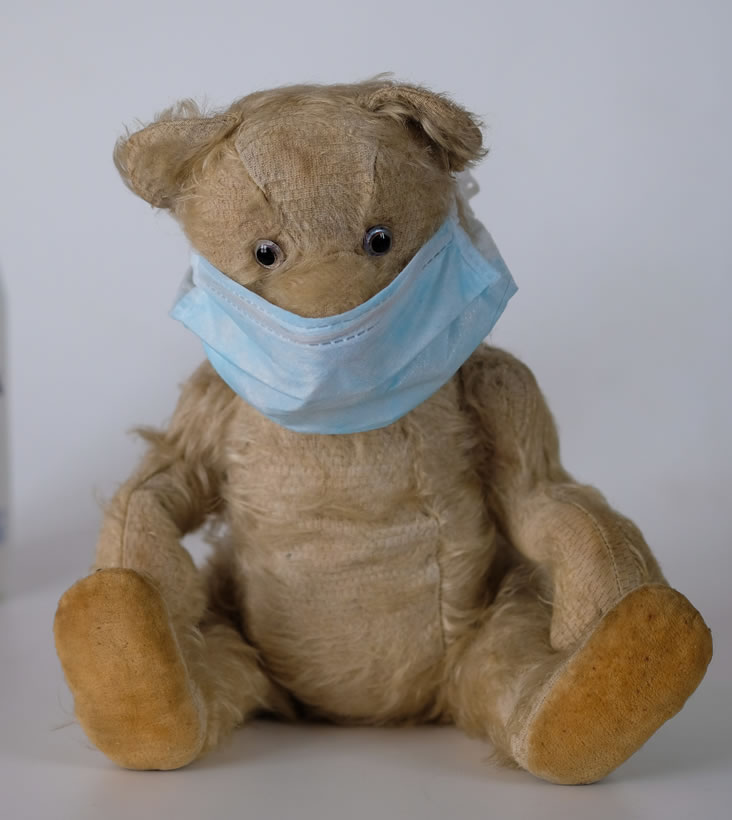 teddy bear with mask