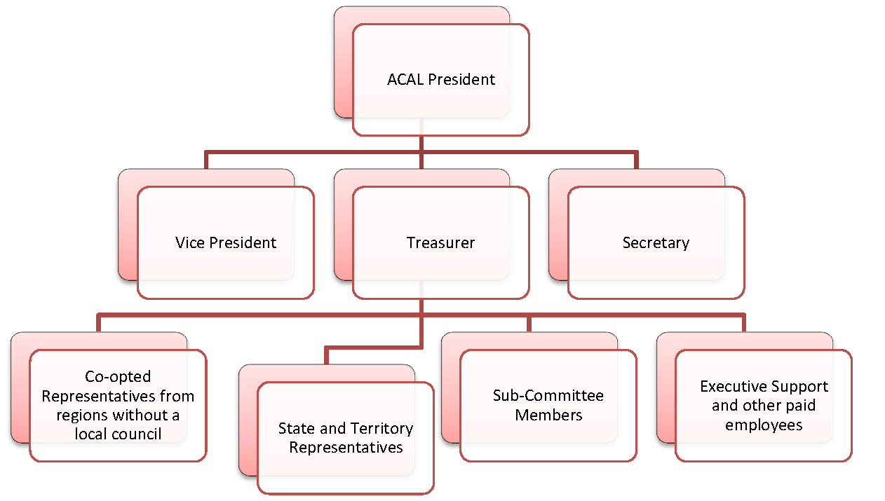 organizational-chart-board-of-directors-ppt-download