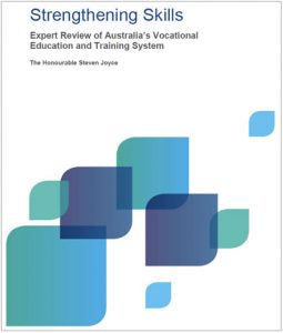 VET-review-report-cover