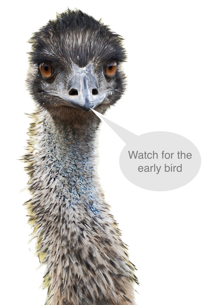 Emu with speech bubble saying Watch for the early bird