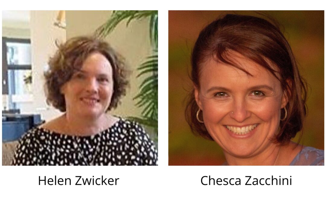 WEBINAR: Delivering the National Foundation Skills Strategy through NSW ACE